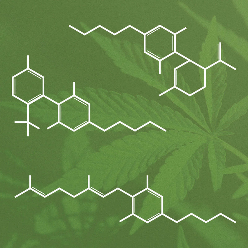 How Long Does THC Stay in your System?