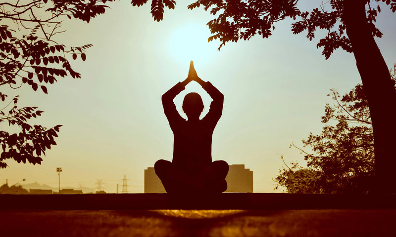 Boosting Nitric Oxide for Better Energy, Stamina, and Hormonal Balance