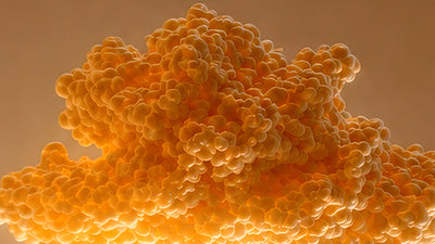 Estradiol