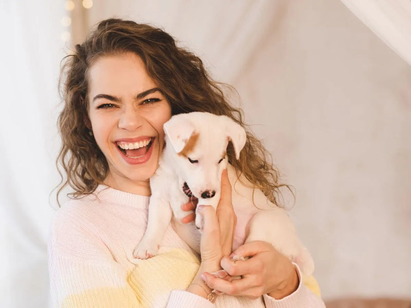 Urinalysis for Pets: How At-Home Testing Supports Pet Health