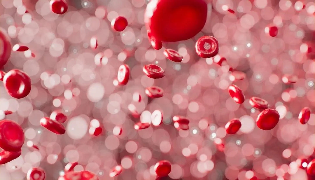 What Is Occult Blood in Urine?