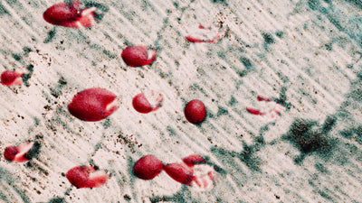 Fecal Occult Blood