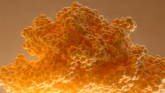Estradiol