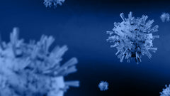 SARS-CoV-2 Antigen
