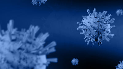 SARS-CoV-2 Antigen