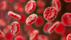 Prostate-Specific Antigen (PSA)