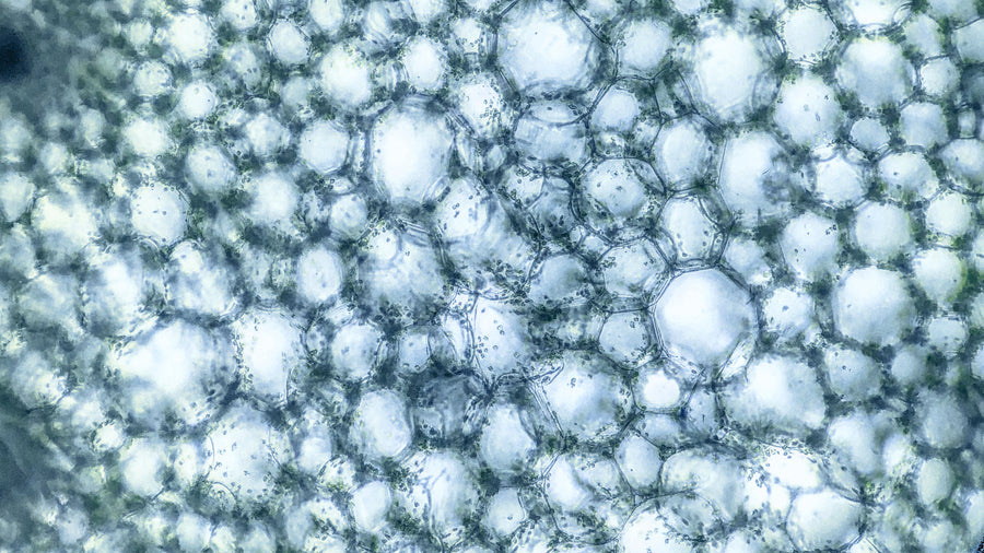 Manganese in Water