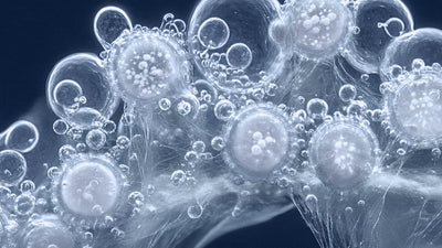 Fluoride in Water